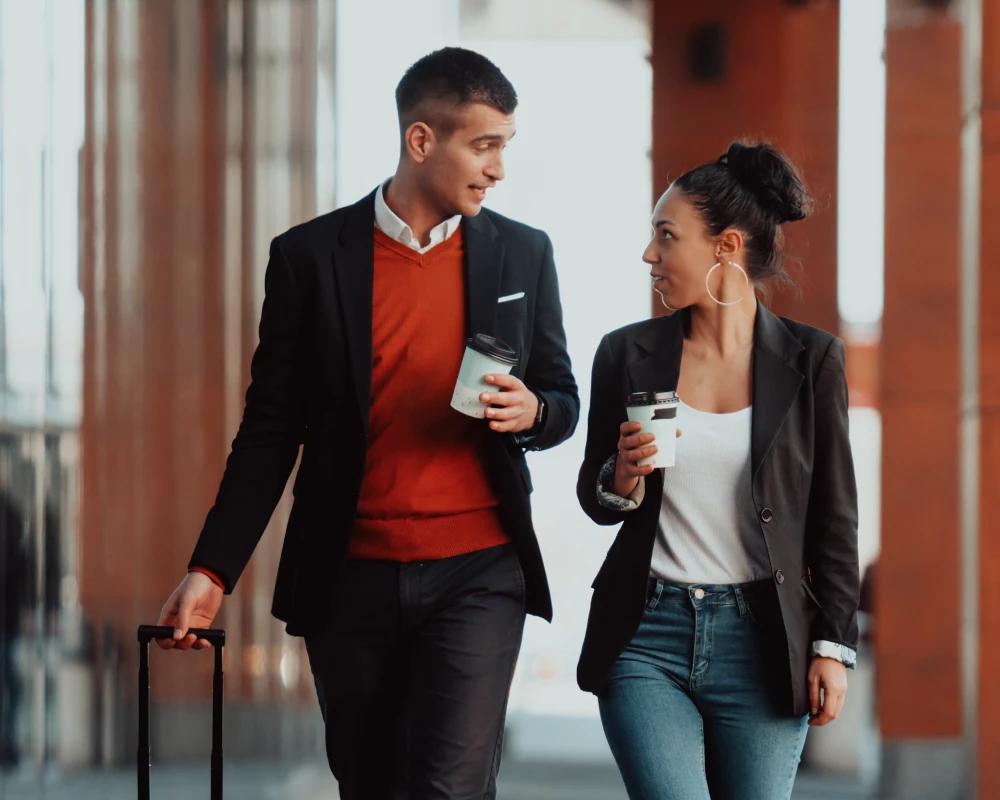 trolley luggage bags